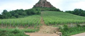 France Burgundy Vineyard Rock