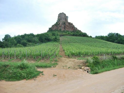France Burgundy Vineyard Rock
