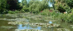 Giverny nympheas