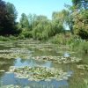 Giverny nympheas1