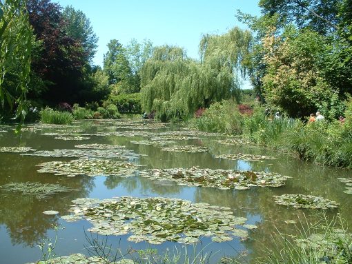 Giverny nympheas1