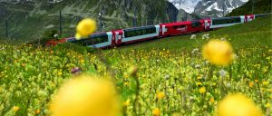 Switzerland Glacier Express Flowers