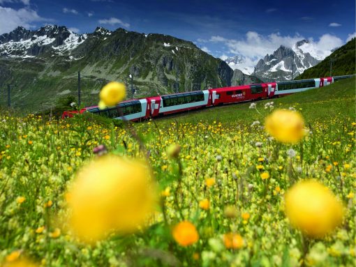 Switzerland Glacier Express Flowers