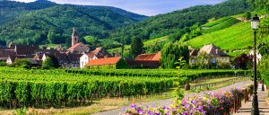 Alsace Wine Road 01